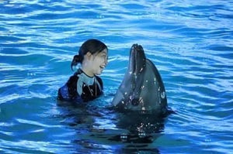 【お仕事インタビュー】vol.22 イルカトレーナー（水族館飼育員）