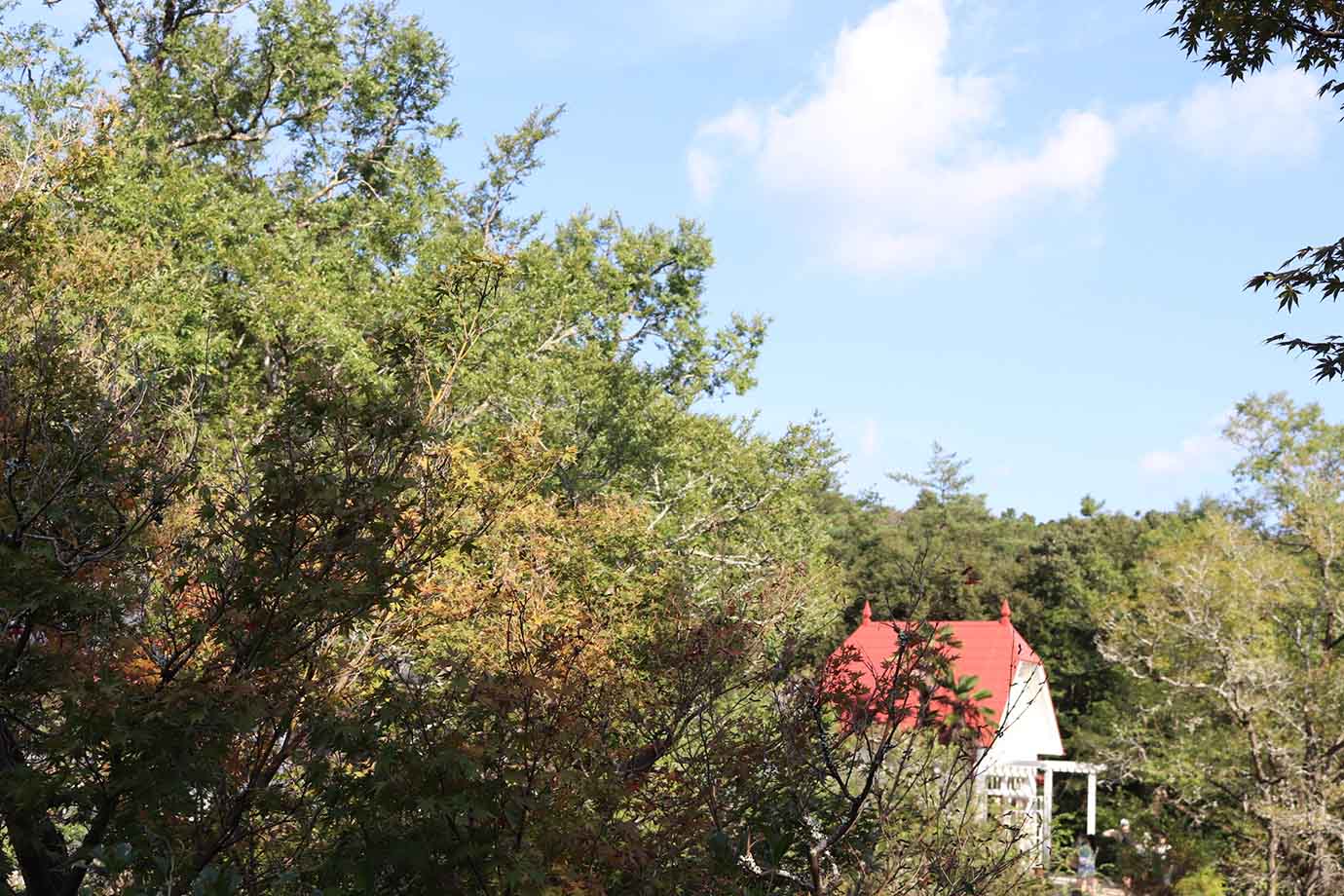 庭園の先にある山道を歩いていくと、「どんどこ森」に到着。ここでは赤い屋根と白い壁が印象的な『となりのトトロ』の「サツキとメイ」の家を、柵の外から眺めることができます。