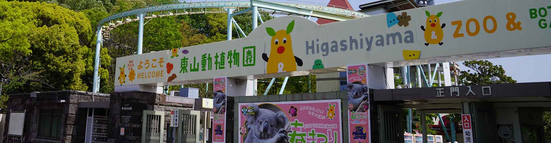 【名古屋・東山動植物園】親子で楽しめる！動物園の見どころを紹介