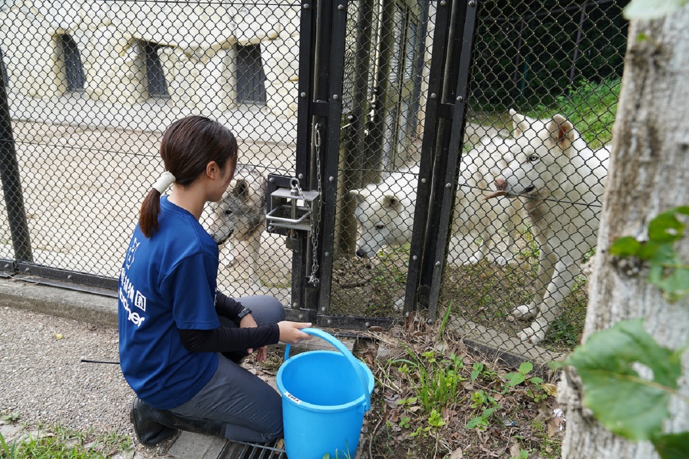 動物たちと接していると、日々、発見の連続です。