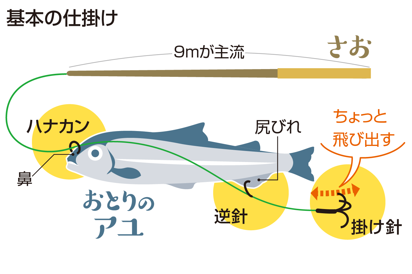 挑戦してみよう！　日本独特の手法「アユの友釣り」【中日こどもウイークリー】