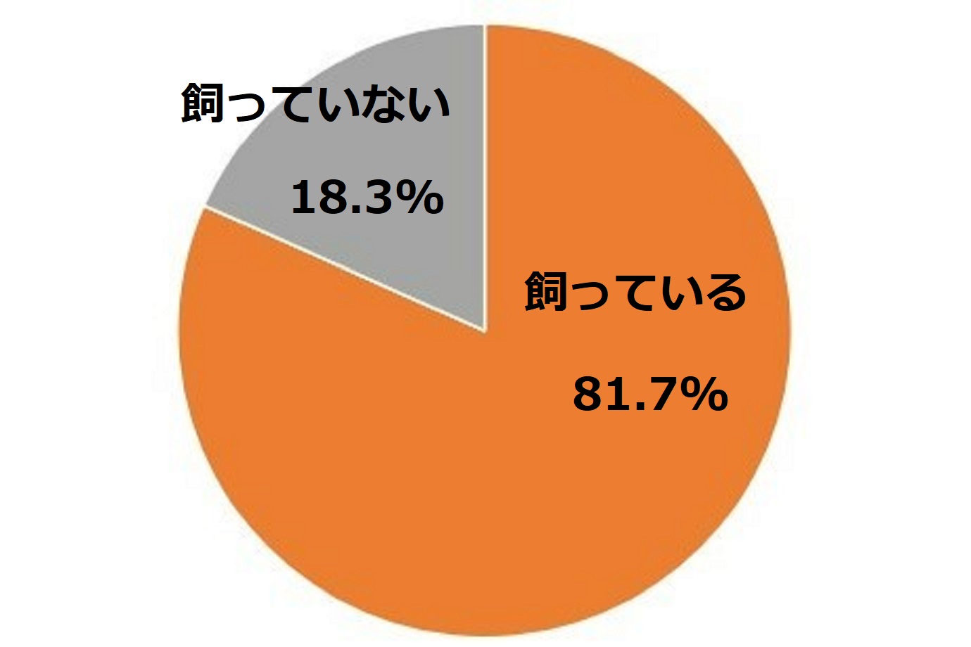 ペットを飼っていますか？