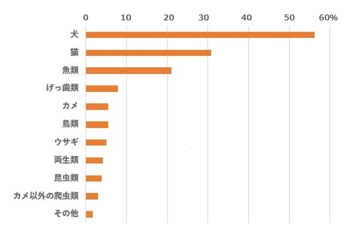 どんなペットを飼っていますか？