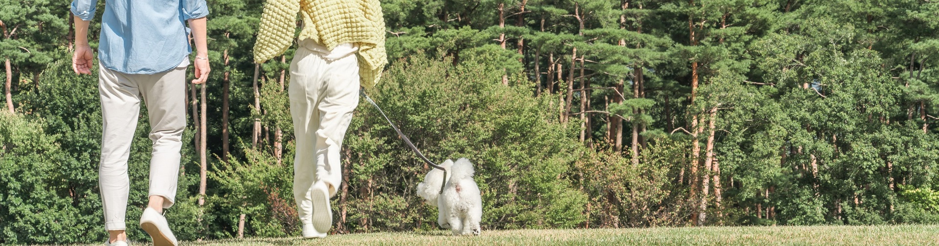 子どもの不登校｜学校に行けなくなった時、周りはどうすればいい？【小児科医解説】