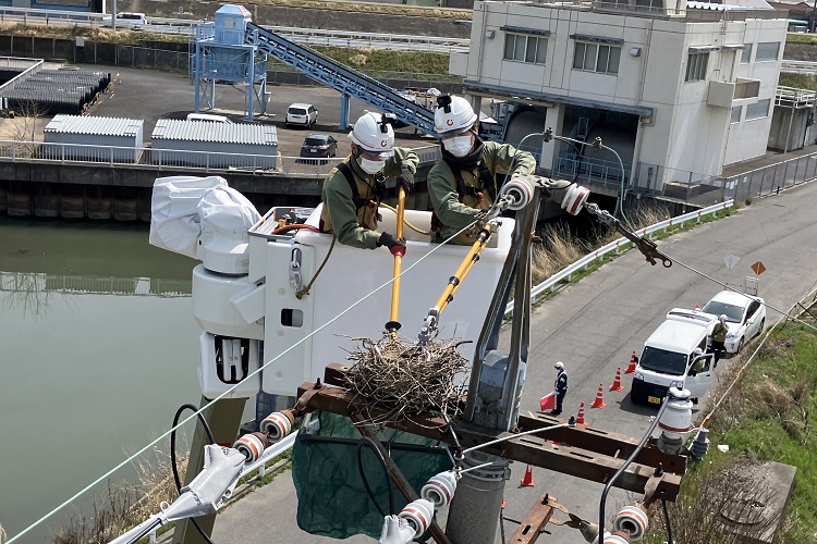 【愛知・尾張地区の小中学生対象】「鳥の巣通報」ポスターコンテストを開催！（1月10日まで）