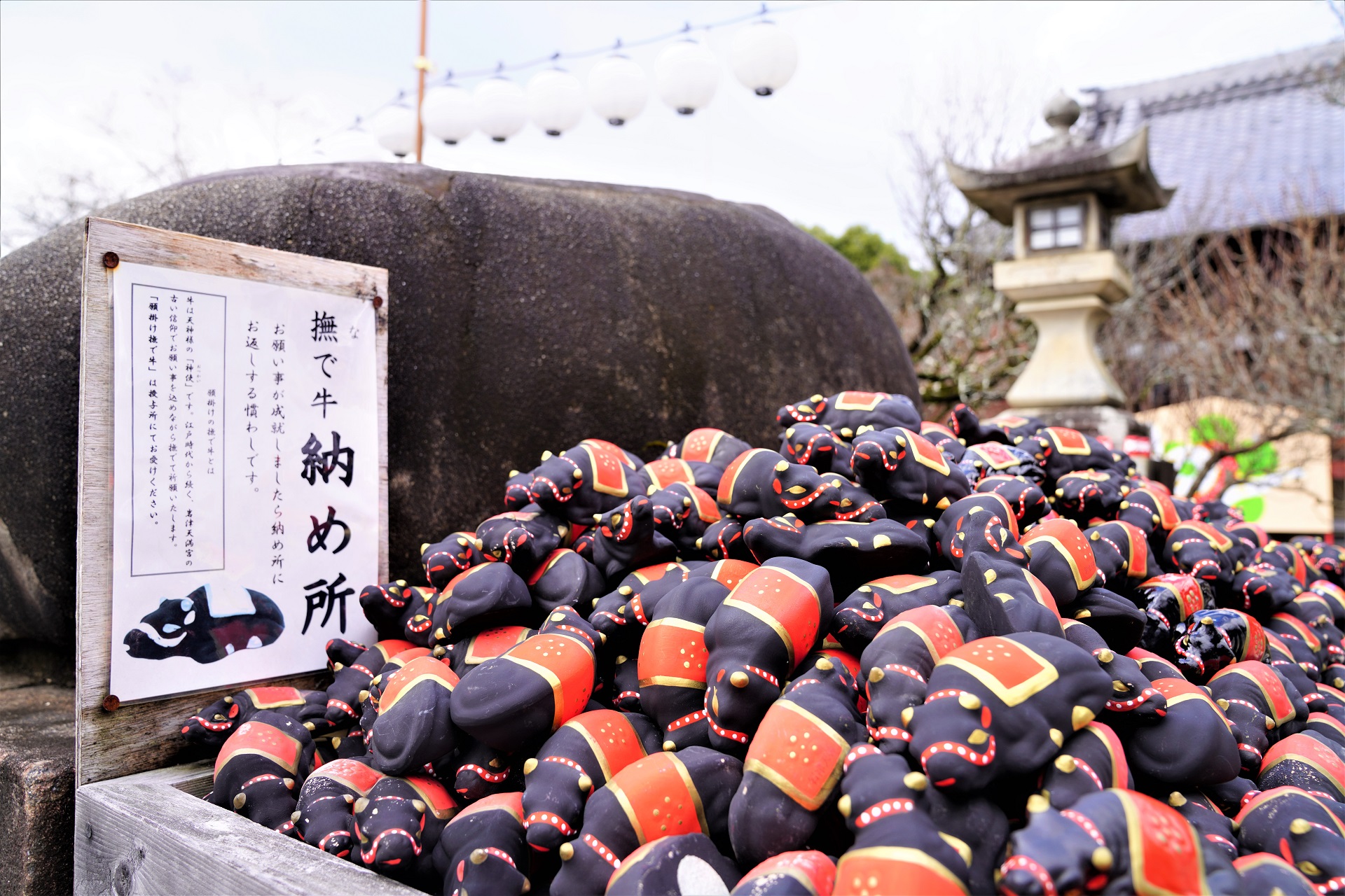 願掛け撫で牛の後ろ側には、たくさんの「撫で牛」が。