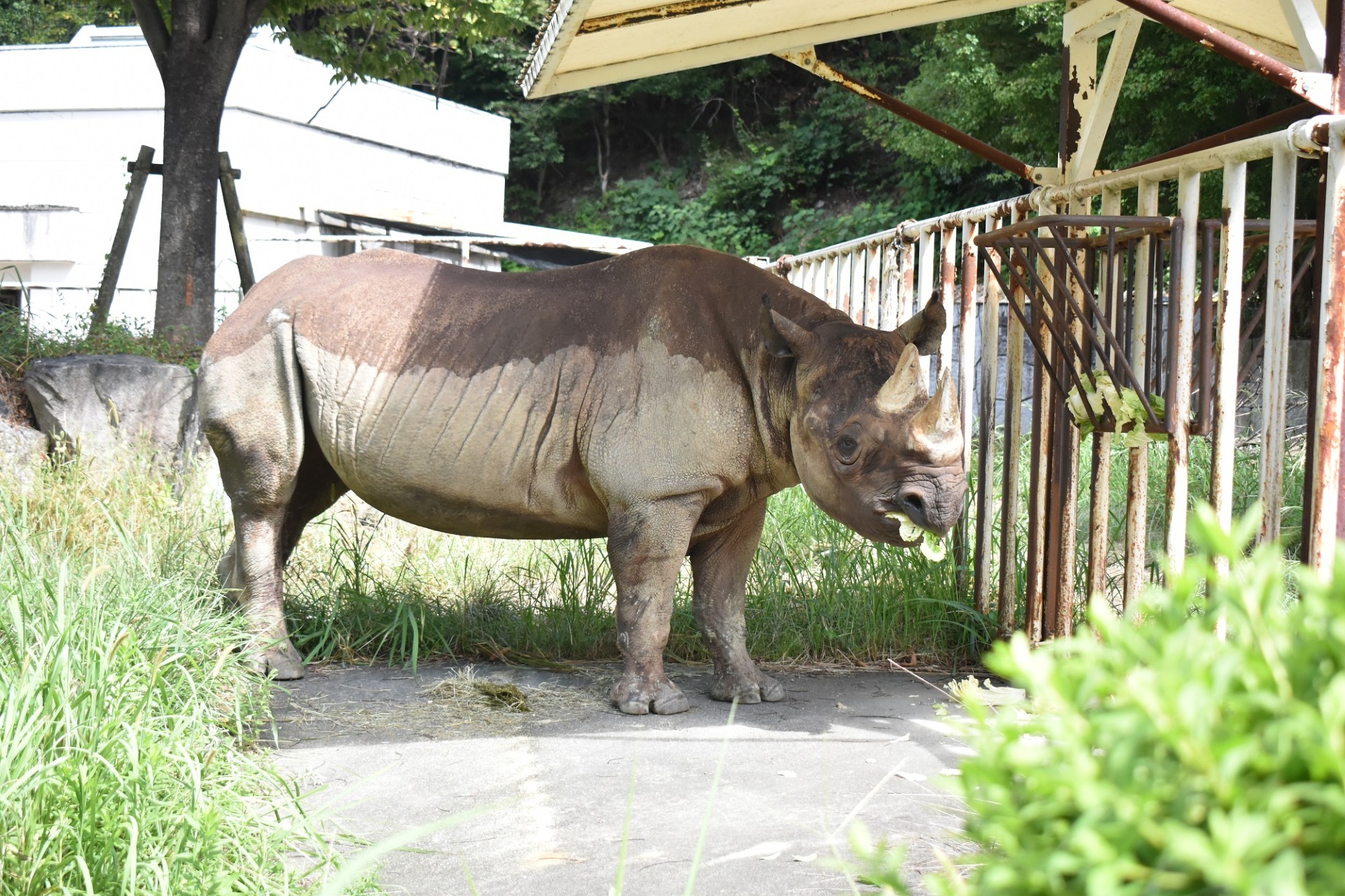 飼育員さんの「ここ注目！」