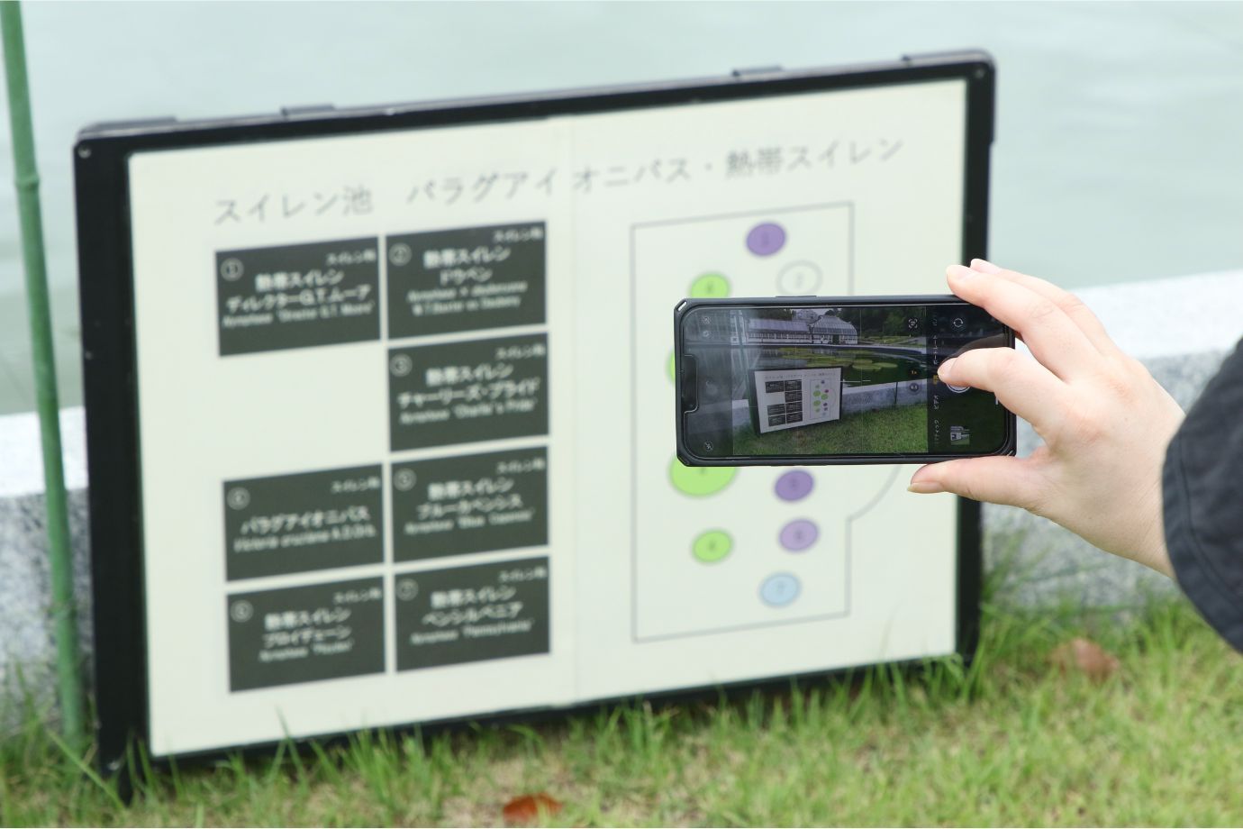撮る・聞く・効率的な移動を意識