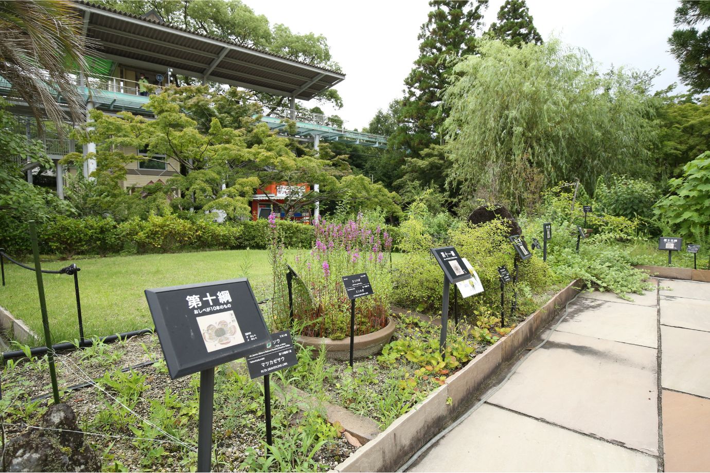 「植物会館」の前には「圭介の庭」