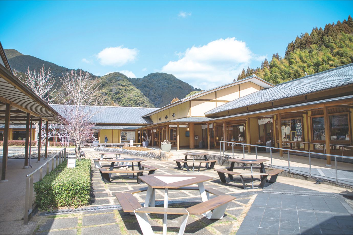 駿河竹千筋細工（するがたけせんすじざいく）