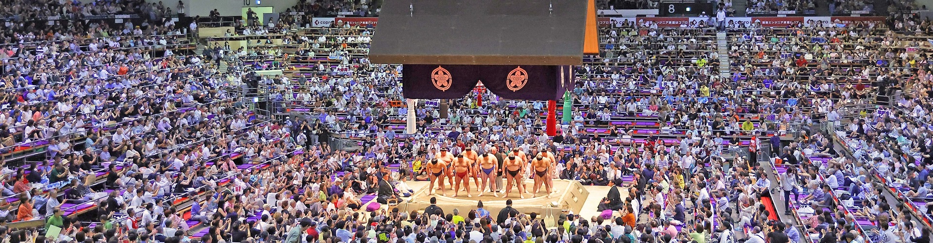 「横綱」ってどんな人？ ふさわしいのは？