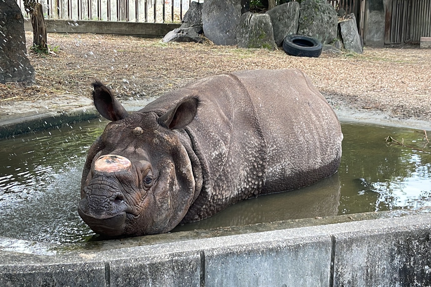 概要・特徴