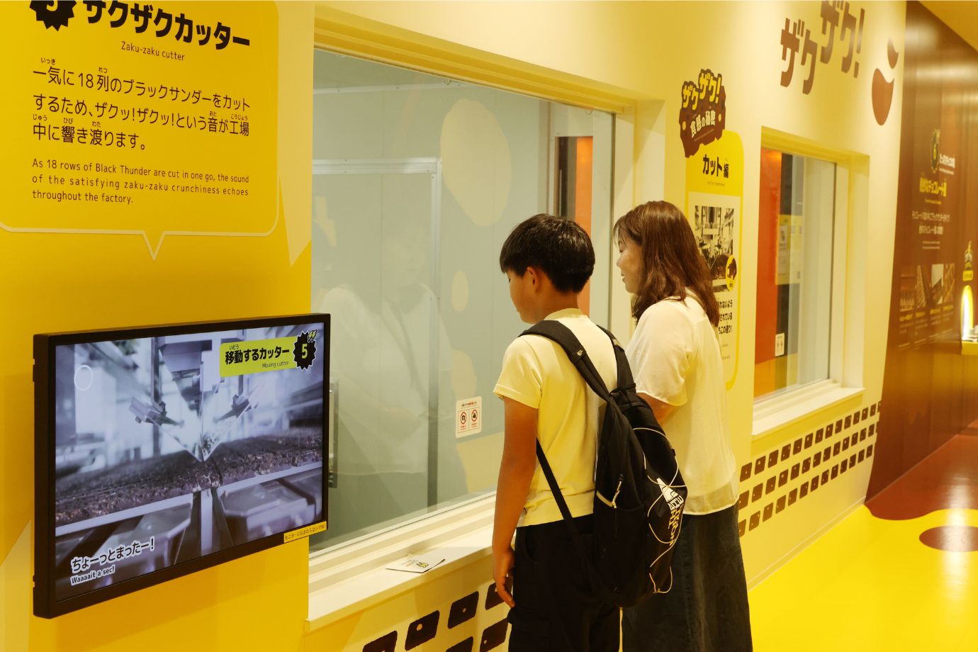 調温されたチョコレートをコーティング→冷却→包装するという工程が見学