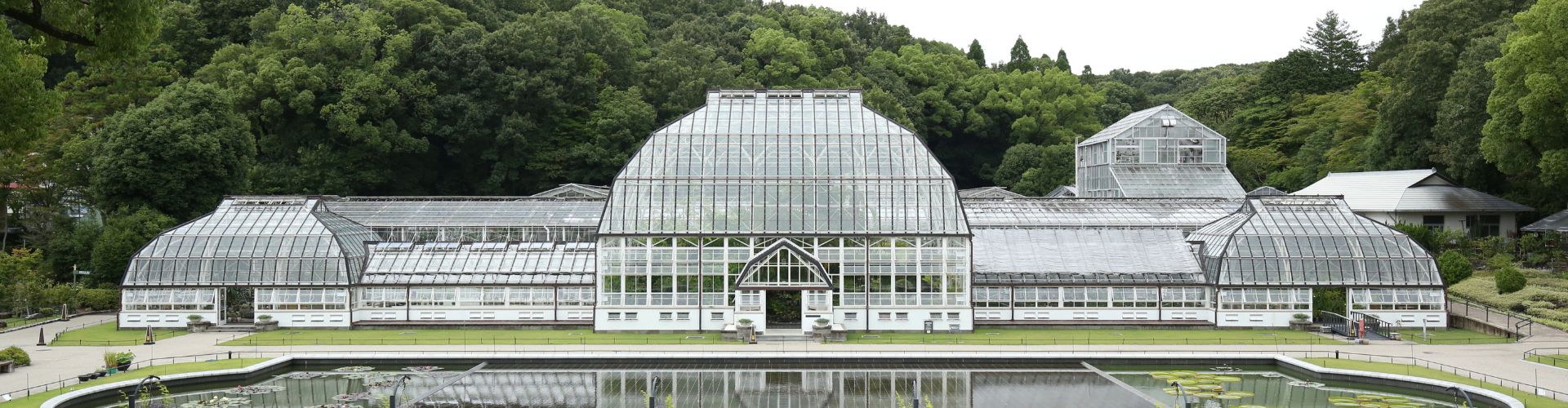 【名古屋市東山動植物園】夏休みの自由研究にも！　植物園で自然観察をしよう