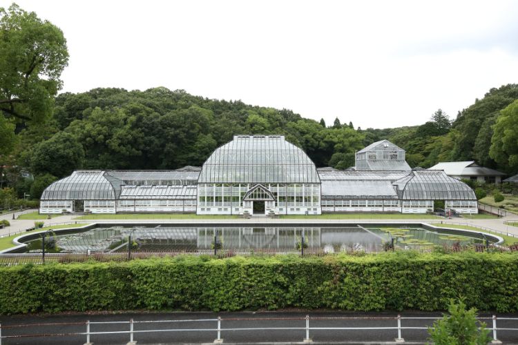 【名古屋市東山動植物園】夏休みの自由研究にも！　植物園で自然観察をしよう