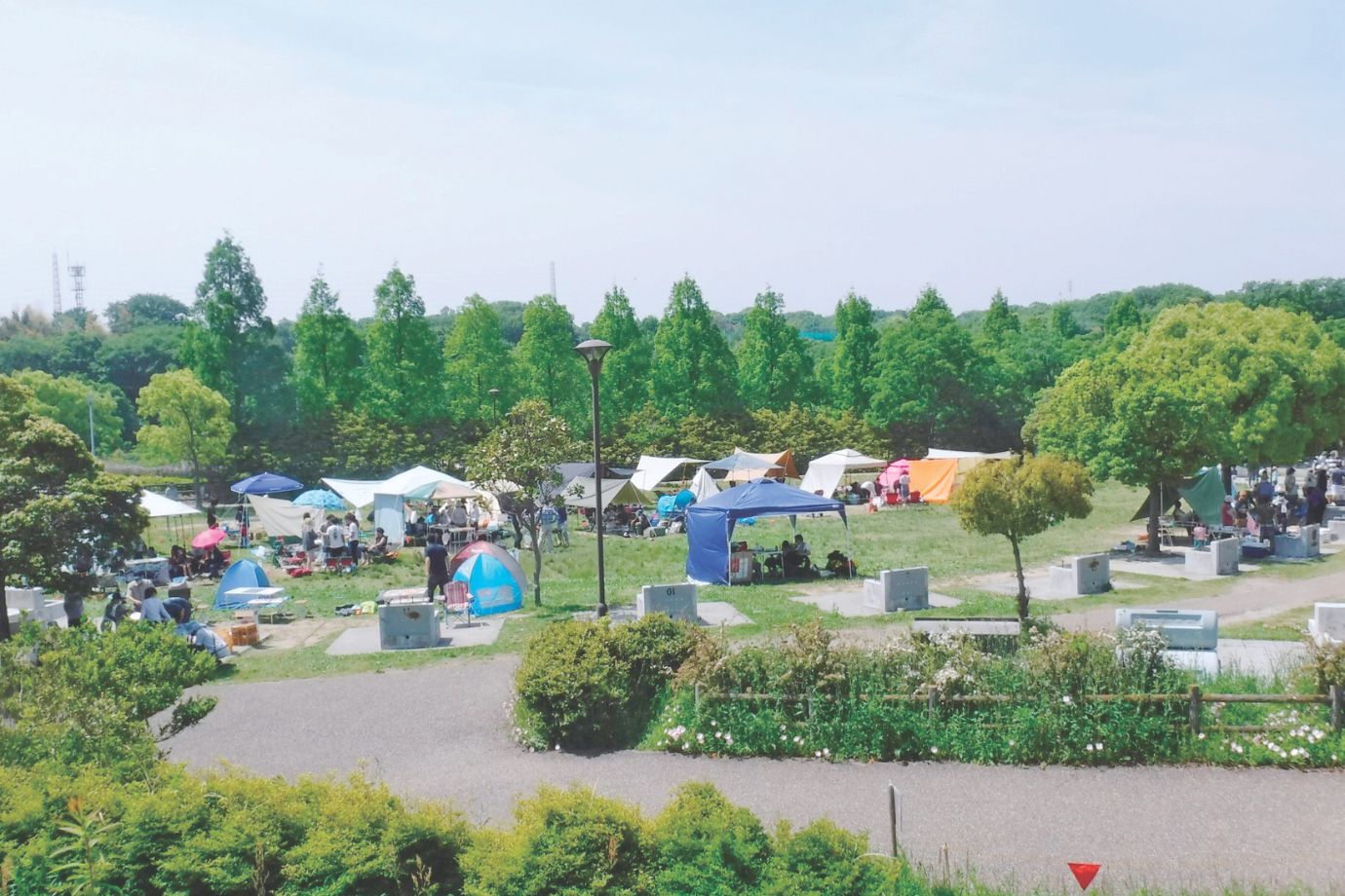 公園内にはデイキャンプスペースも