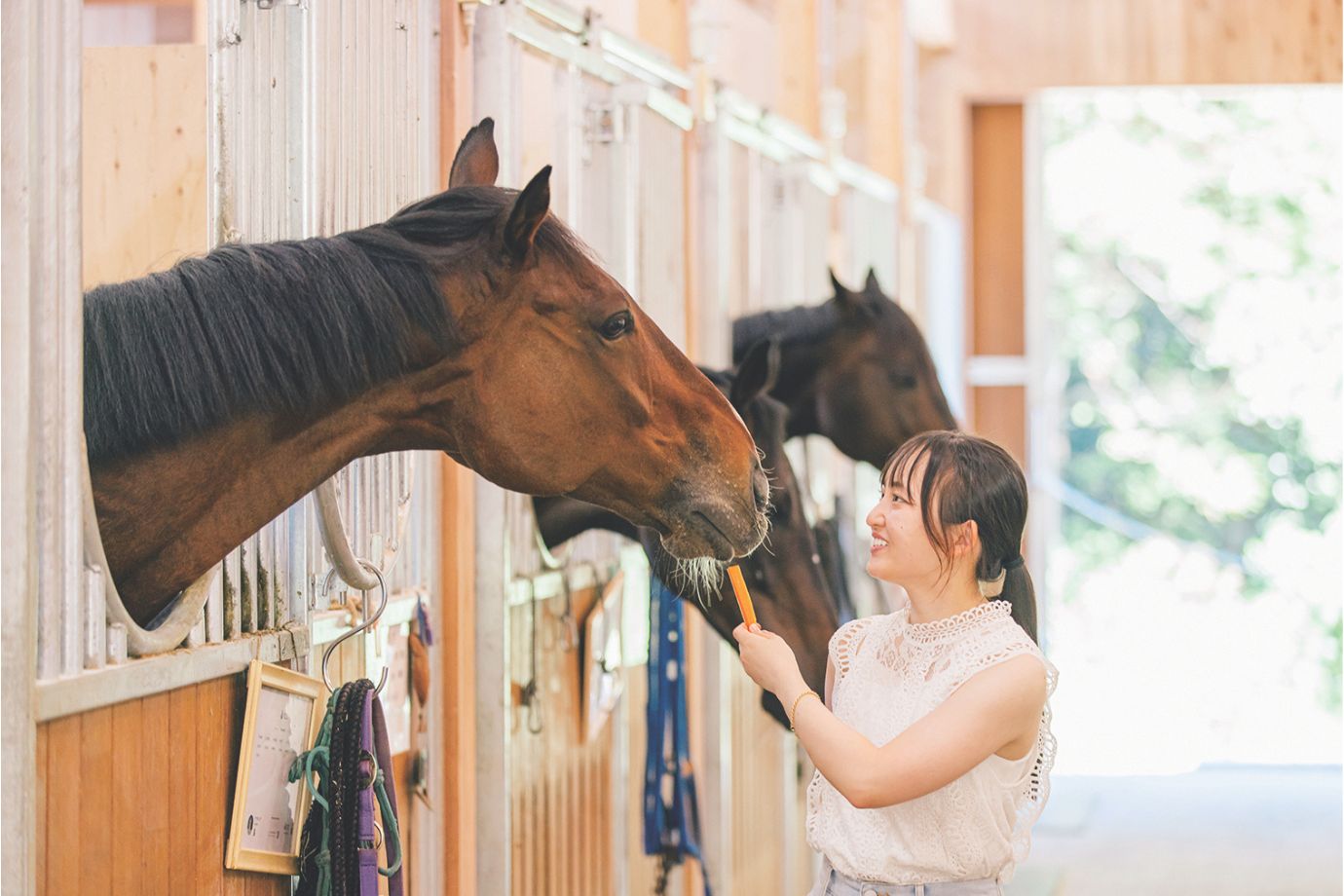 観光養老牧場「メタセコイアと馬の森」