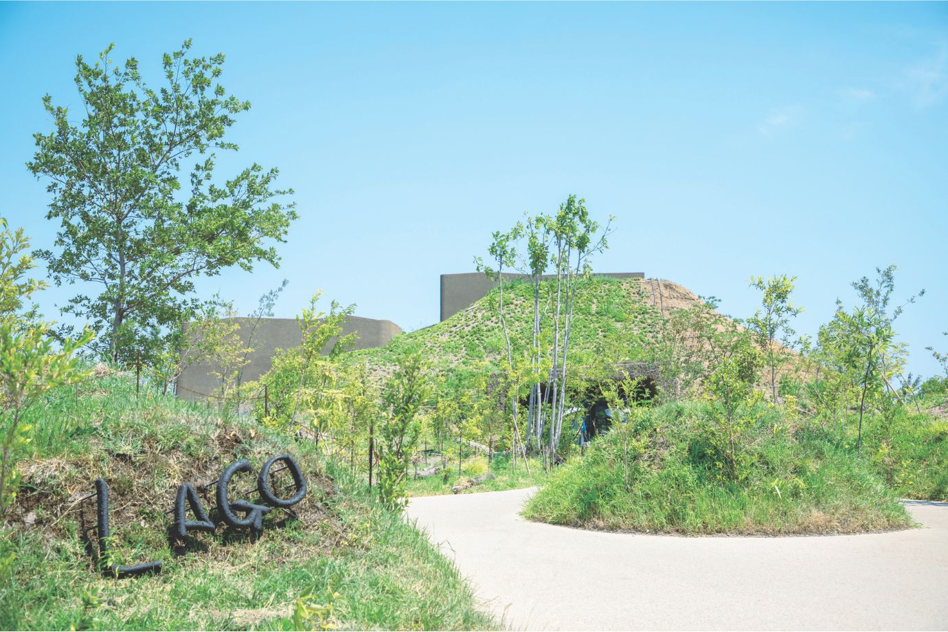 「琵琶湖の森」と題した里山