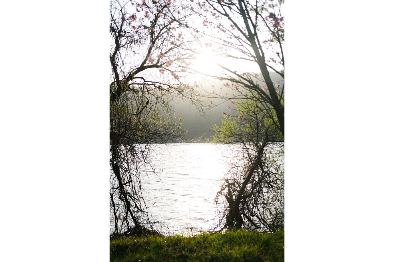 木々の間にバランス良く湖・山・夕陽が見えるように配置