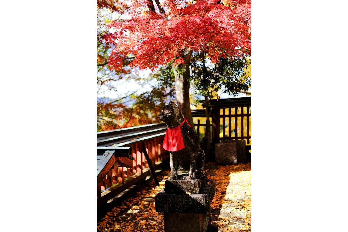 標高の高い場所にある神社で撮影