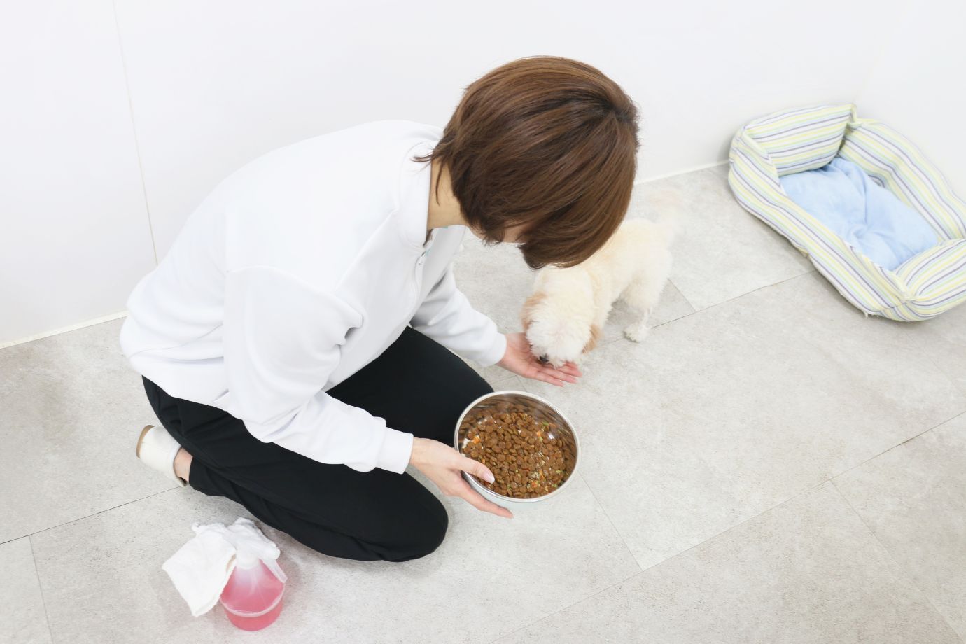 まずは、純粋に「動物が好き」という気持ちが大きいですね。祖母が動物の保護活動をしていたこともあり、幼い頃から家には14匹もの犬がいたので動物は身近な存在でした。