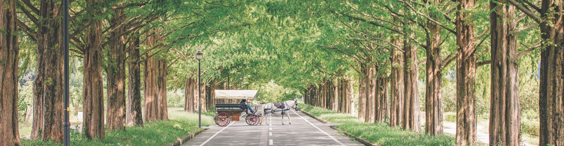 【滋賀】湖のほとりで雄大な自然に憩う、琵琶湖スポット3選