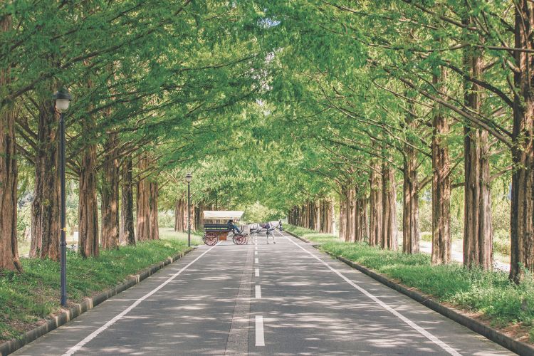 【滋賀】湖のほとりで雄大な自然に憩う、琵琶湖スポット3選