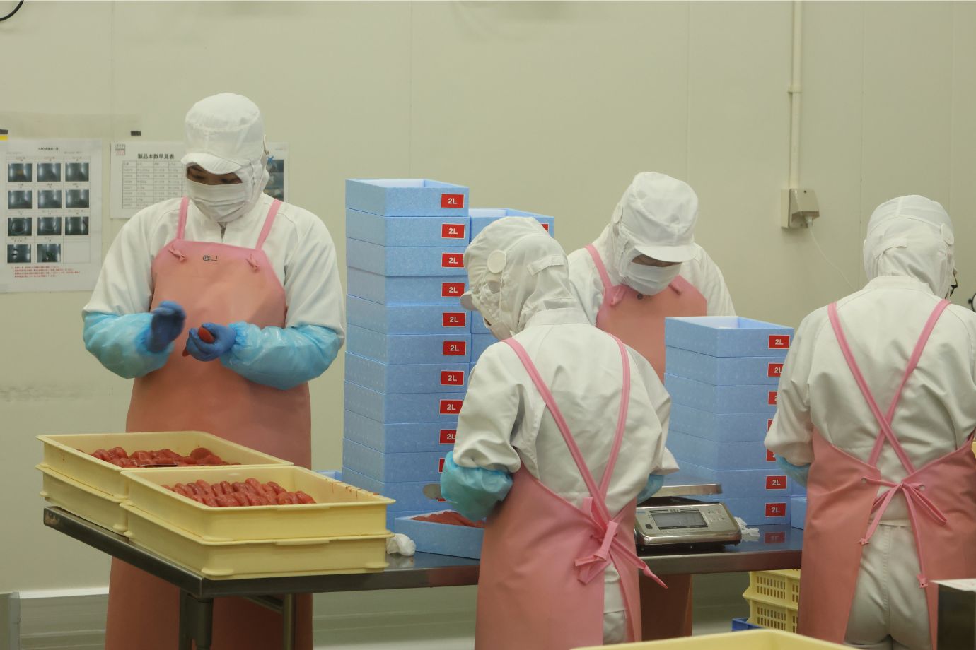 大量生産の現場