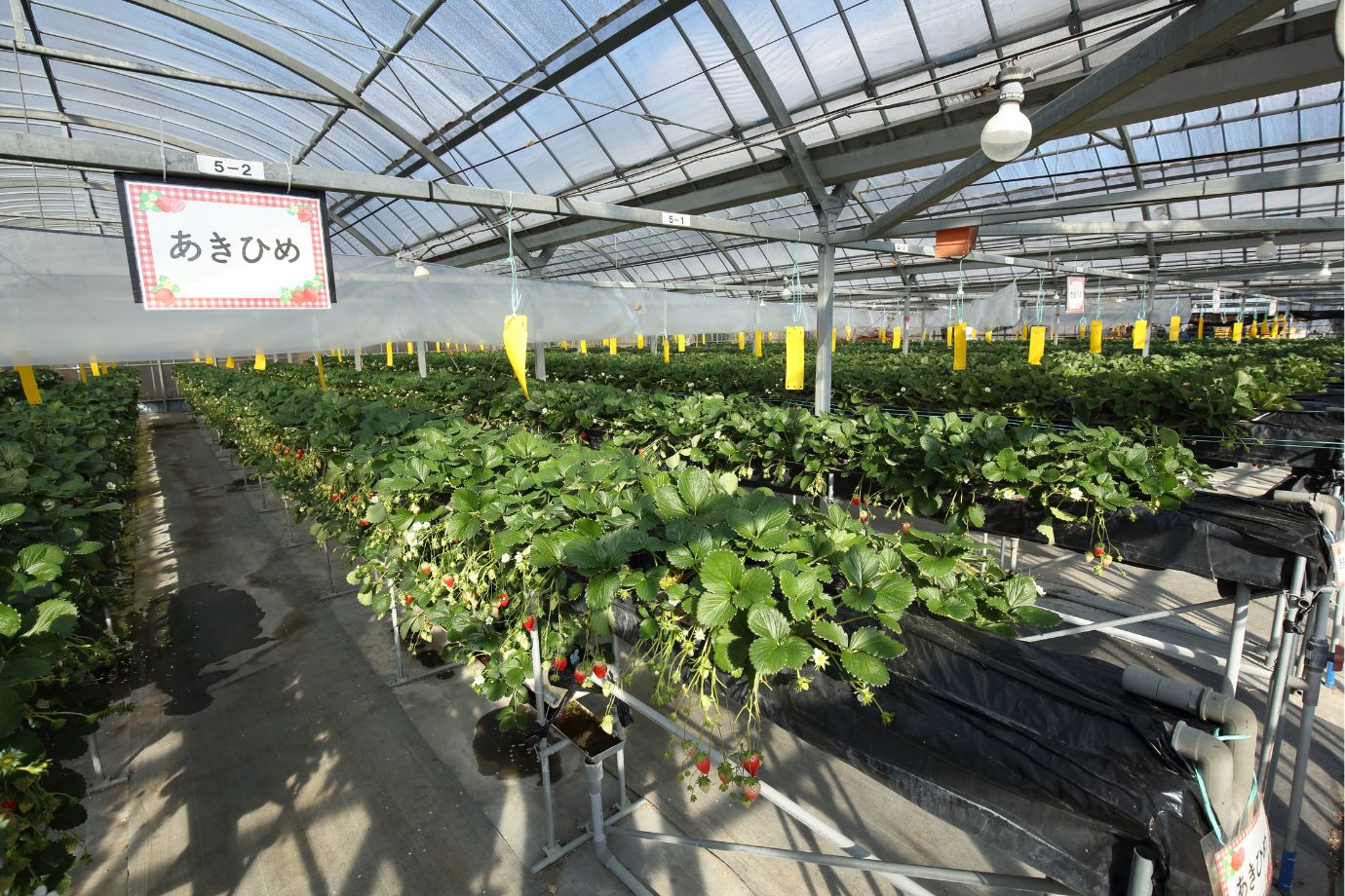 はままつフルーツパーク時之栖