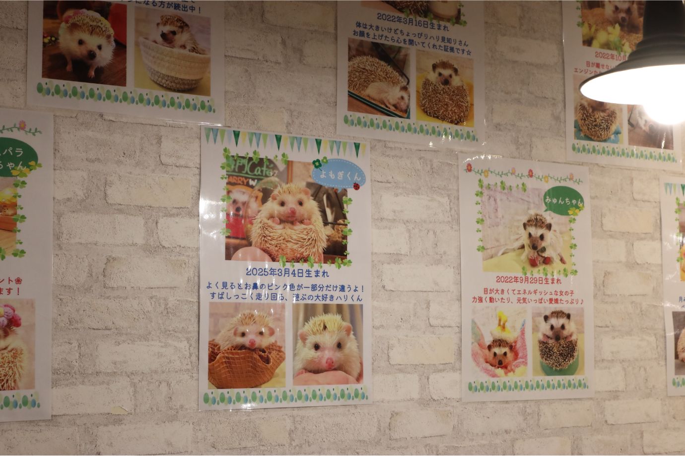 生体販売や飼育相談も対応