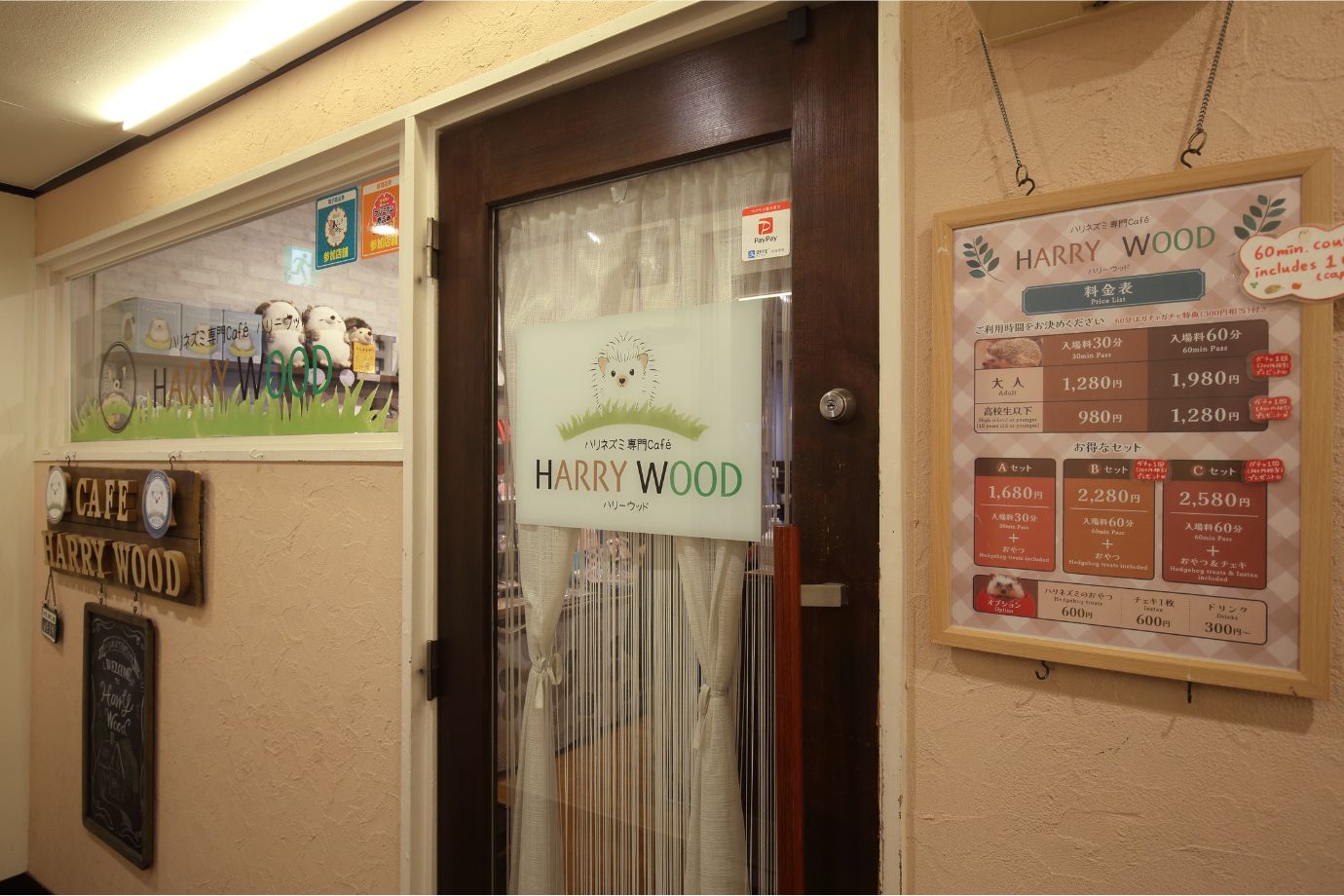 ハリネズミ専門Cafe HARRY WOOD
