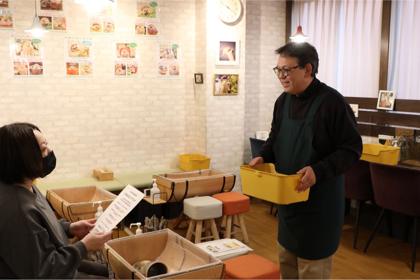 ハリネズミの魅力とお作法