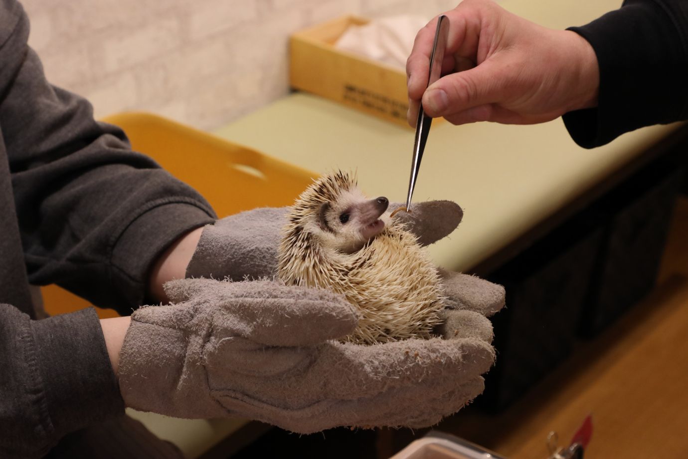 小さな口で一生懸命食べる姿