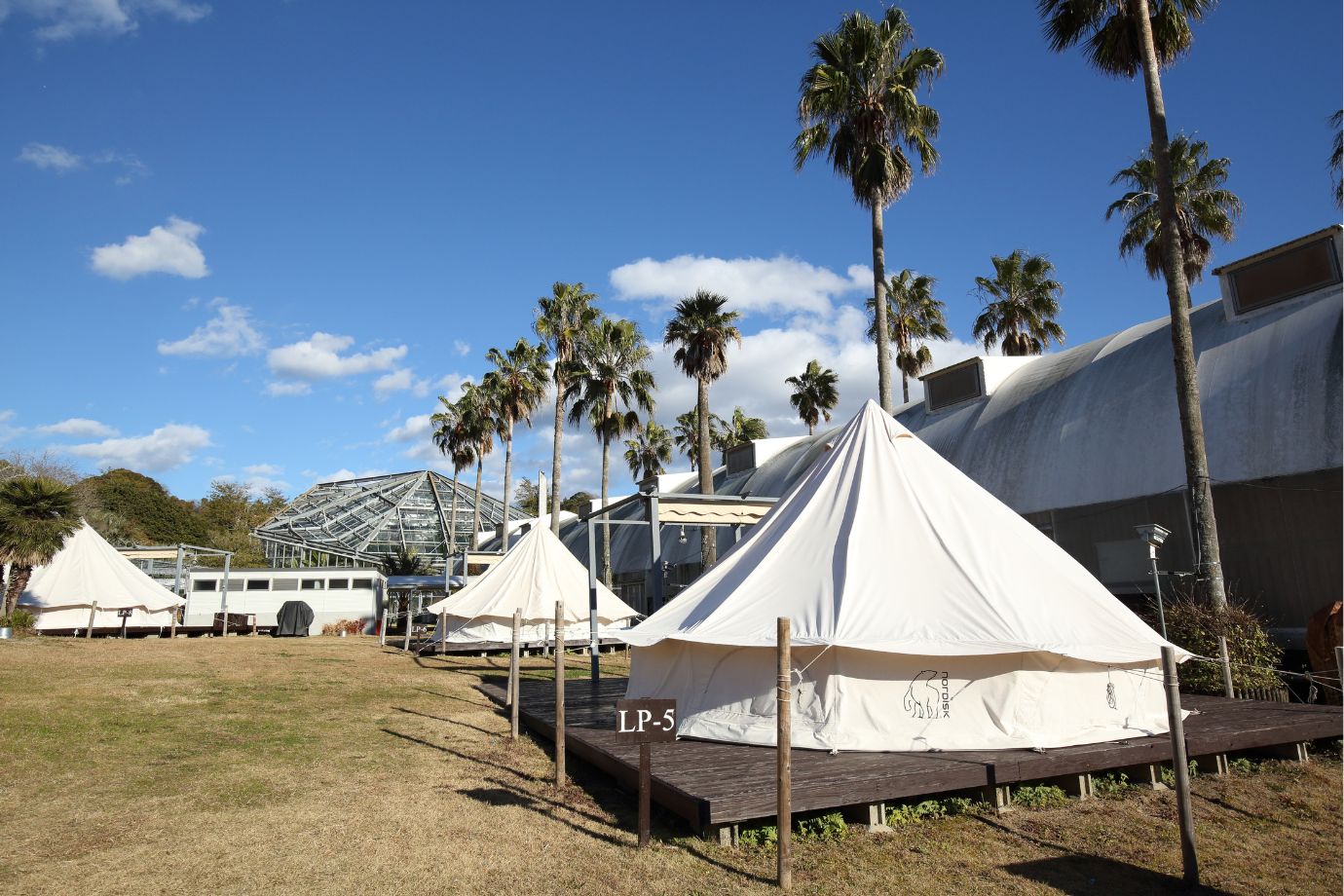 キャンプ・グランピングエリア