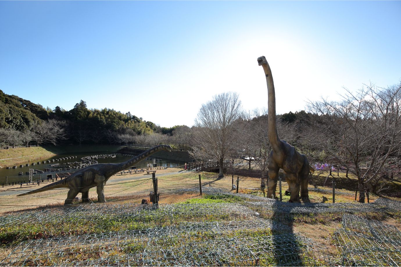 パーク内には恐竜も!?