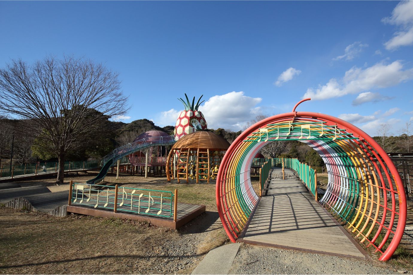 アクティビティエリア