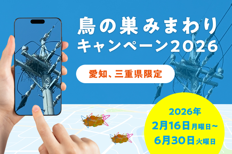 【愛知・三重限定】電柱上の鳥の巣を見つけて、300円相当のデジタルギフトをもらおう！