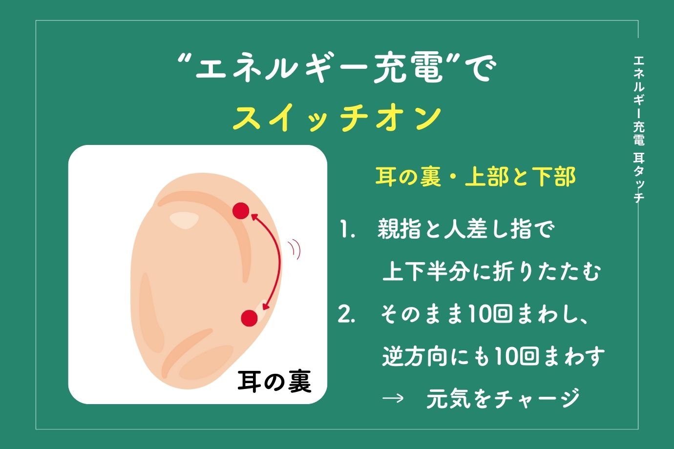 心もカラダも軽くなる耳ツボ