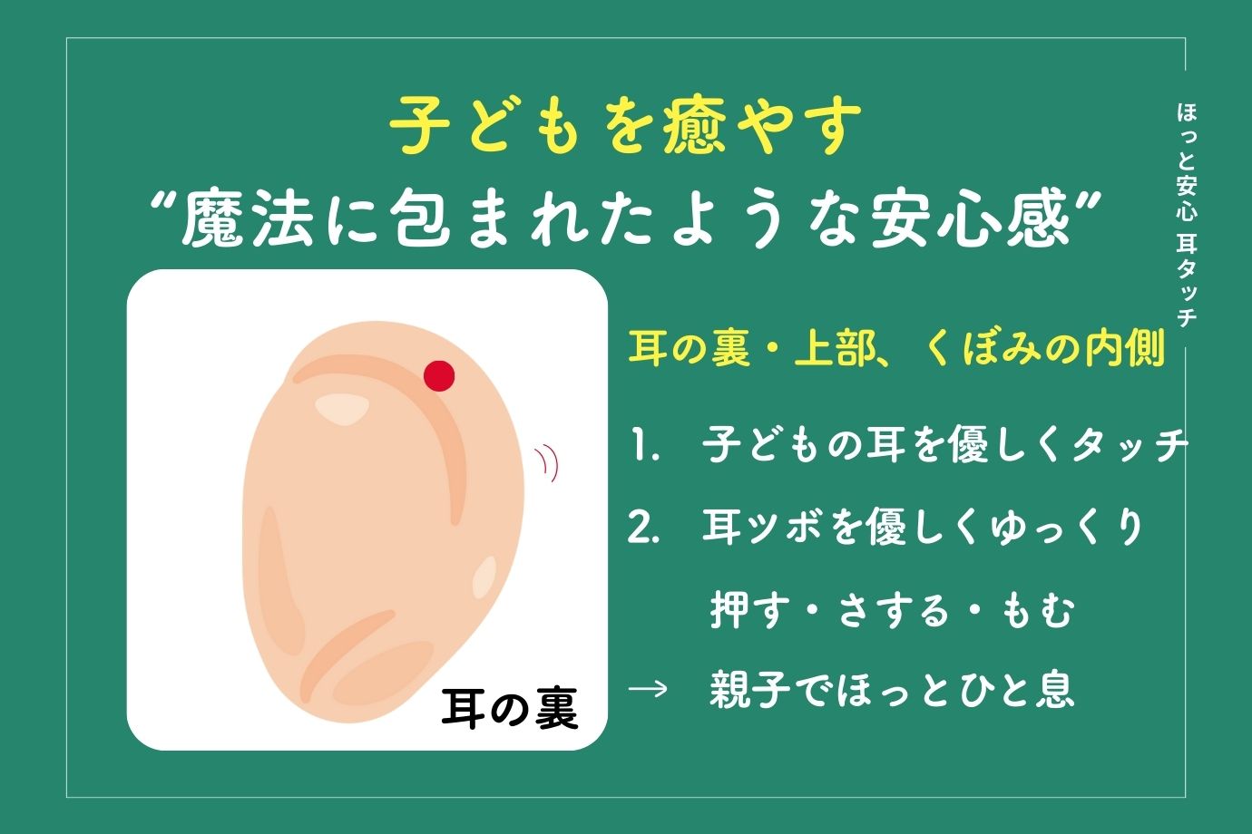 心もカラダも軽くなる耳ツボ