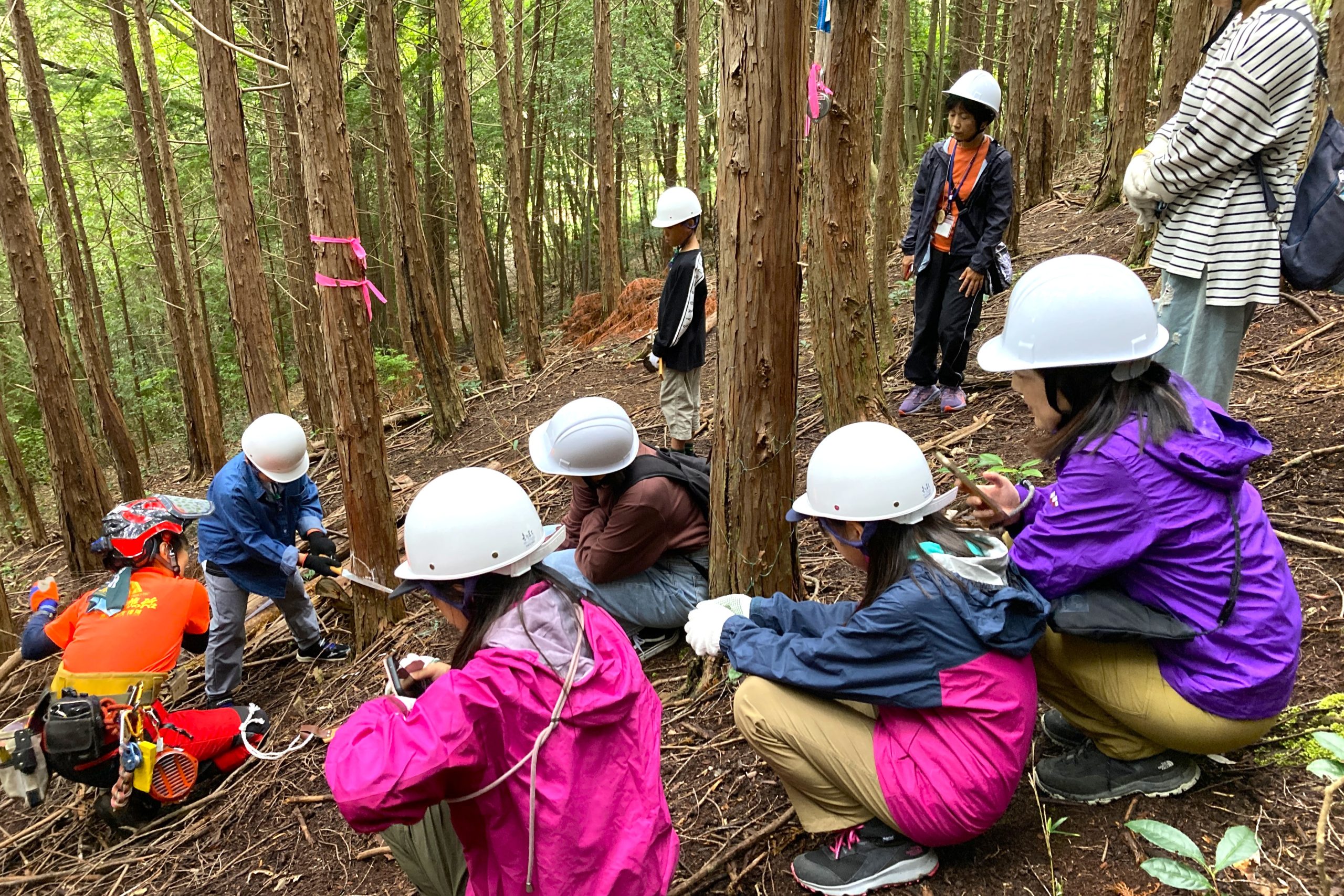 【無料招待】親子で自然体験！ 「ちゅうでん森きっず」春ツアー参加者募集（5/6締切）