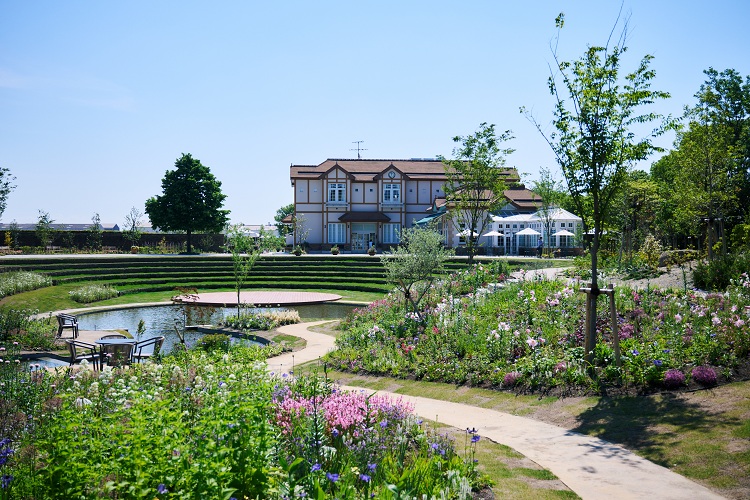 【愛知・名古屋港】新スポット「Megrass Garden Nagoya」へ季節の草花を見に行こう
