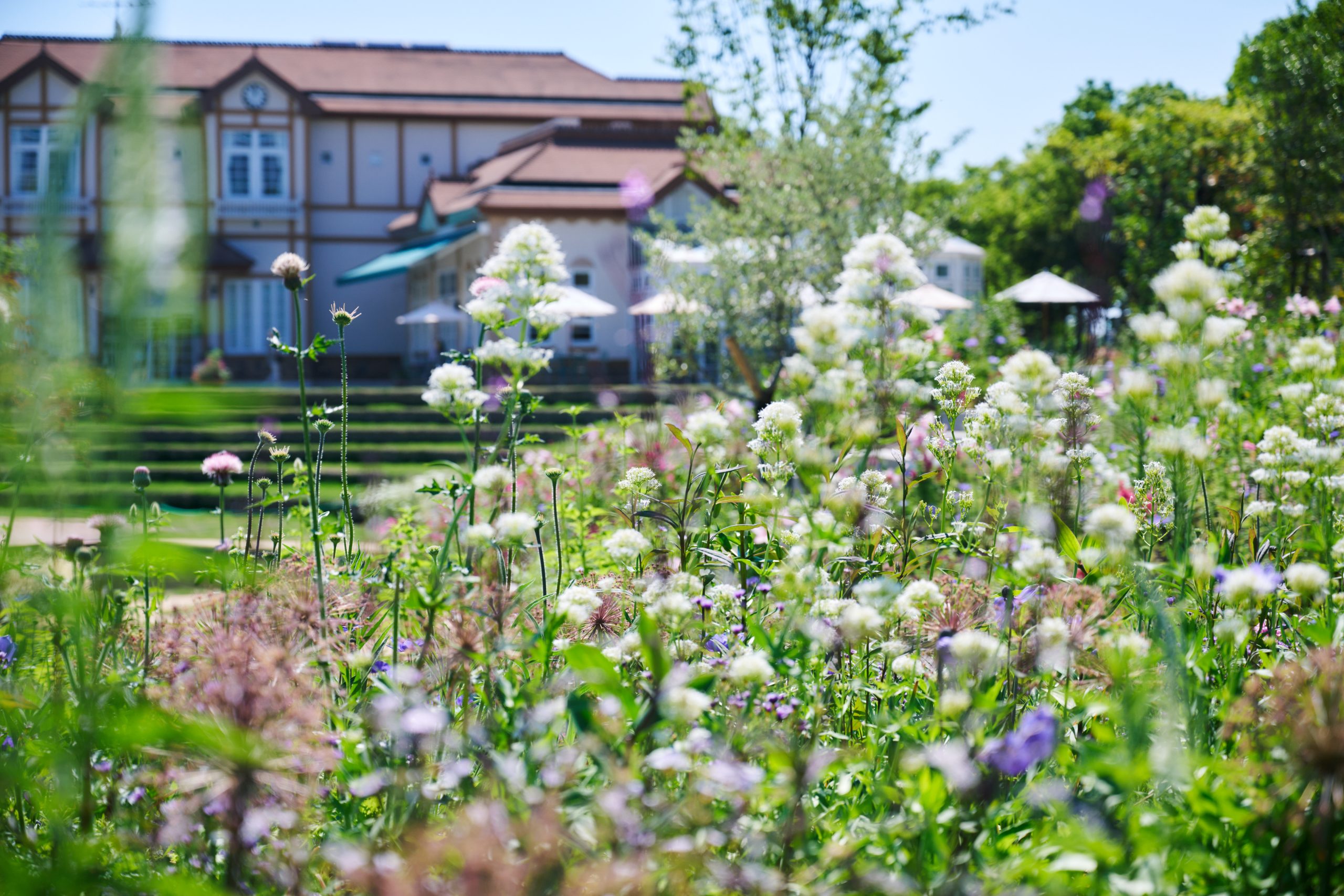 季節ごとにさまざまな表情を見せてくれるMegrass Garden Nagoya。1日として同じ風景はない‟365の季節を持つガーデン”は何度でも足を運びたくなります。