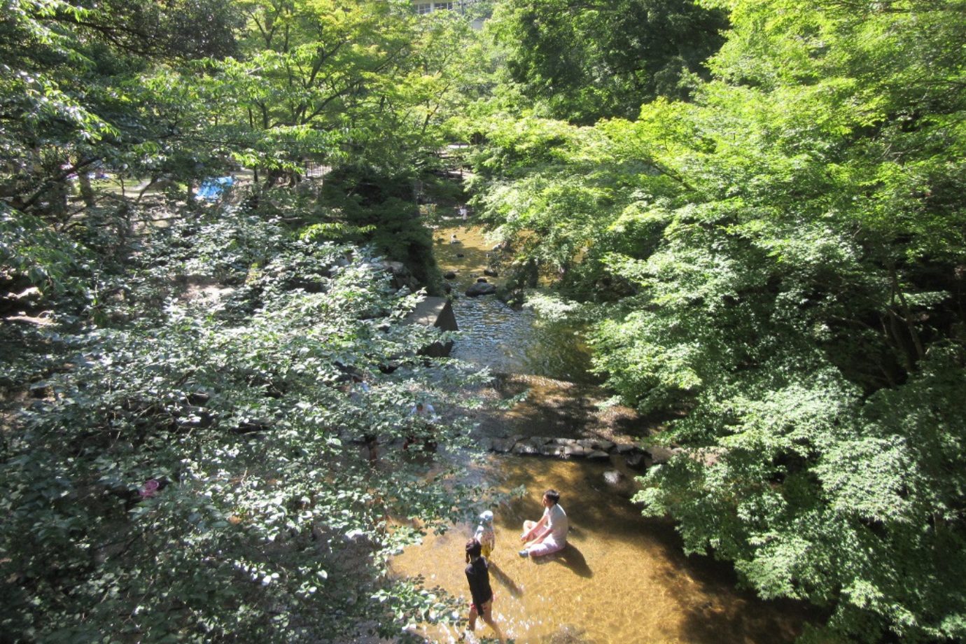 瀬戸市の山あいに広がる「岩屋堂公園」。名古屋から近い避暑地として、夏は多くの家族連れでにぎわいます。 