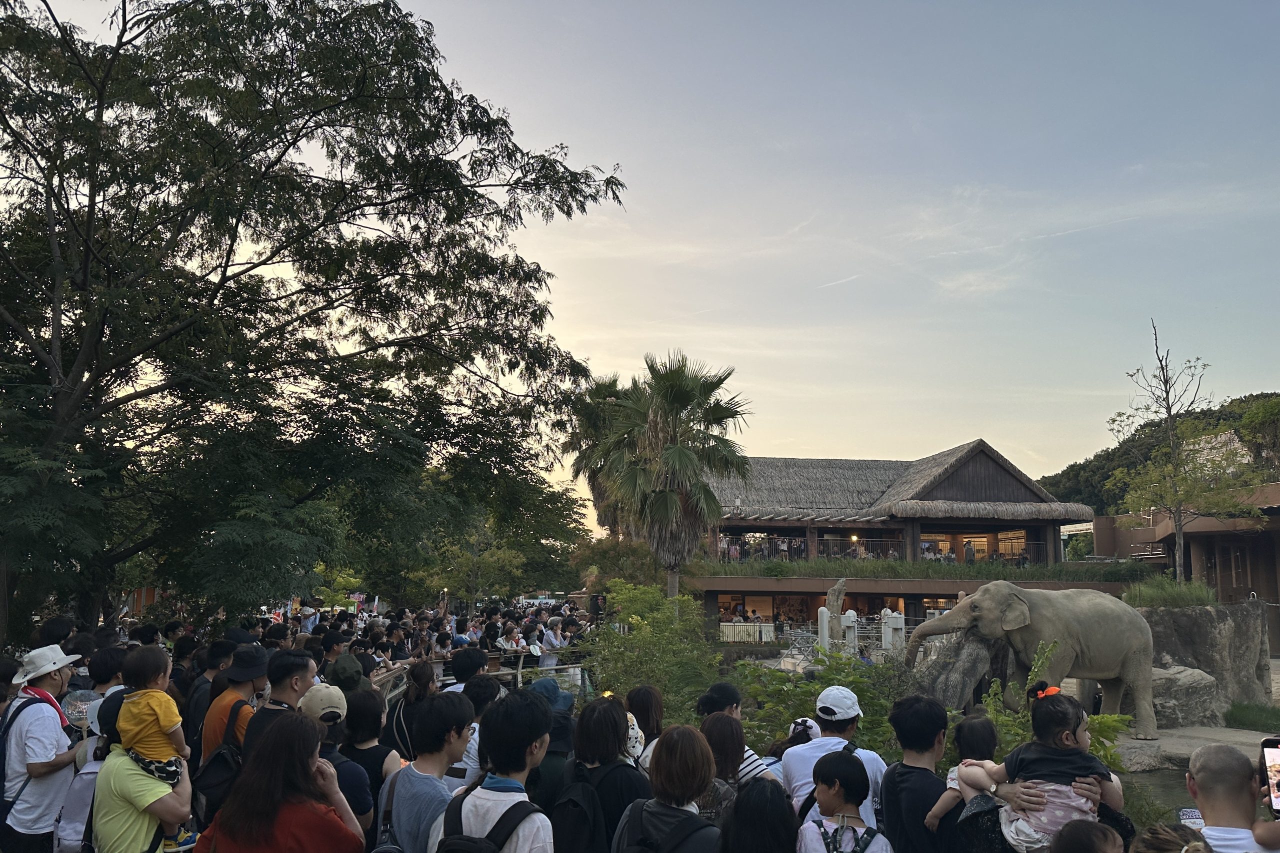 夕暮れのアニマルトークの様子（提供：名古屋市東山動植物園）